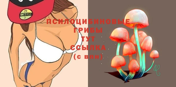 spice Абинск