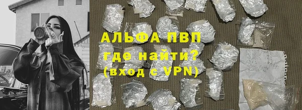 PSILOCYBIN Магас