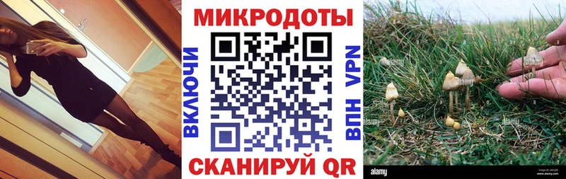 купить закладку  Серпухов  Галлюциногенные грибы ЛСД 